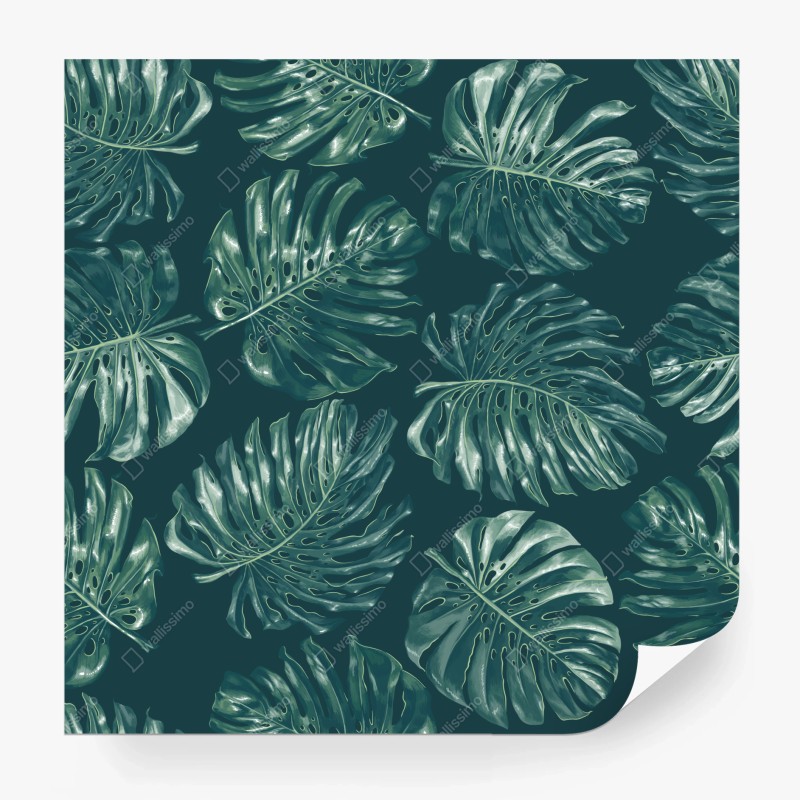 Wall mural tropical monstera leaf pattern