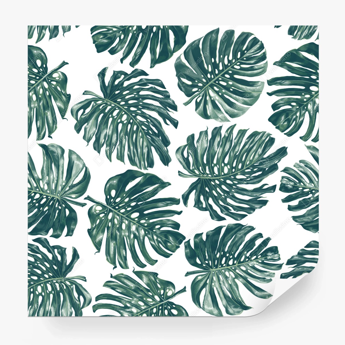 Wall mural monstera leaf botanical pattern ⁕ Wallissimo®