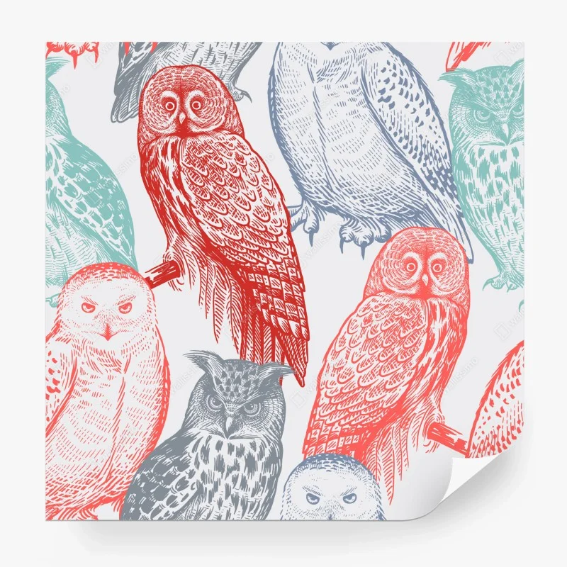 Wall mural whimsical colorful owl pattern