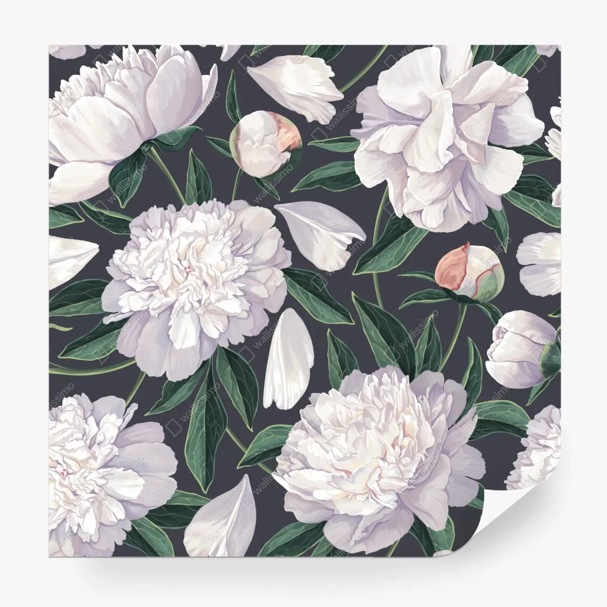 Wall mural white peony floral pattern on charcoal background • Wallissimo®