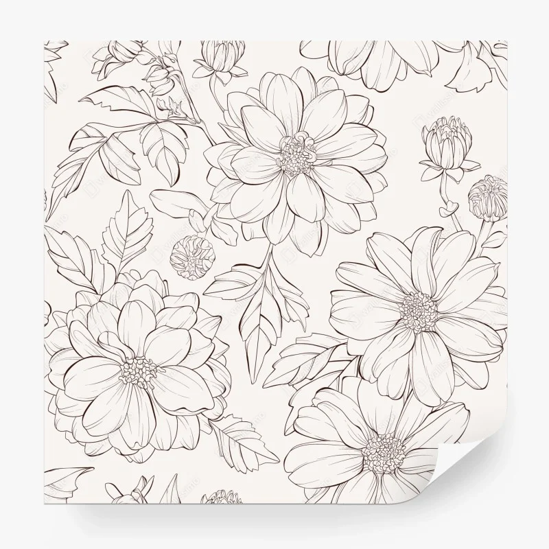 Wall mural delicate botanical line florals