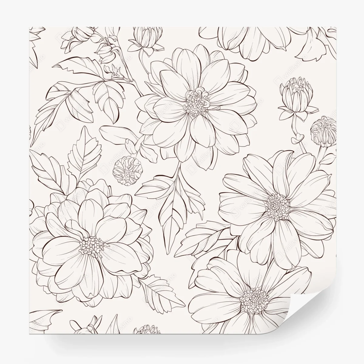 Wall mural delicate botanical line florals • Wallissimo® Wall mural delicate botanical line florals • Wallissimo®