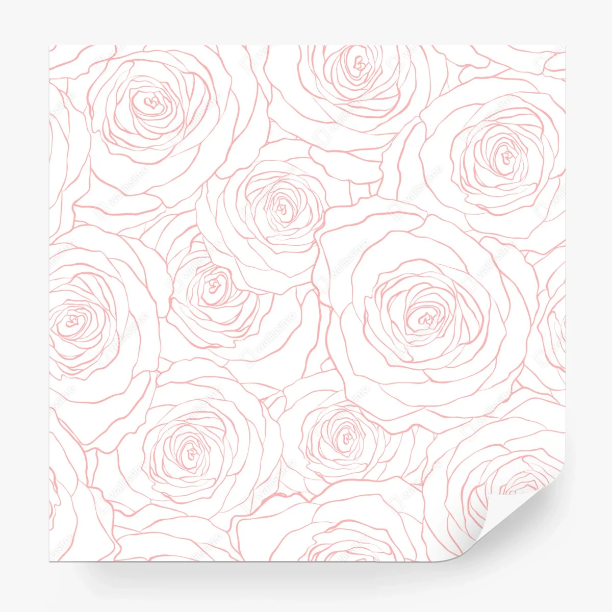 Wall mural delicate pink rose line pattern ⁕ Wallissimo®