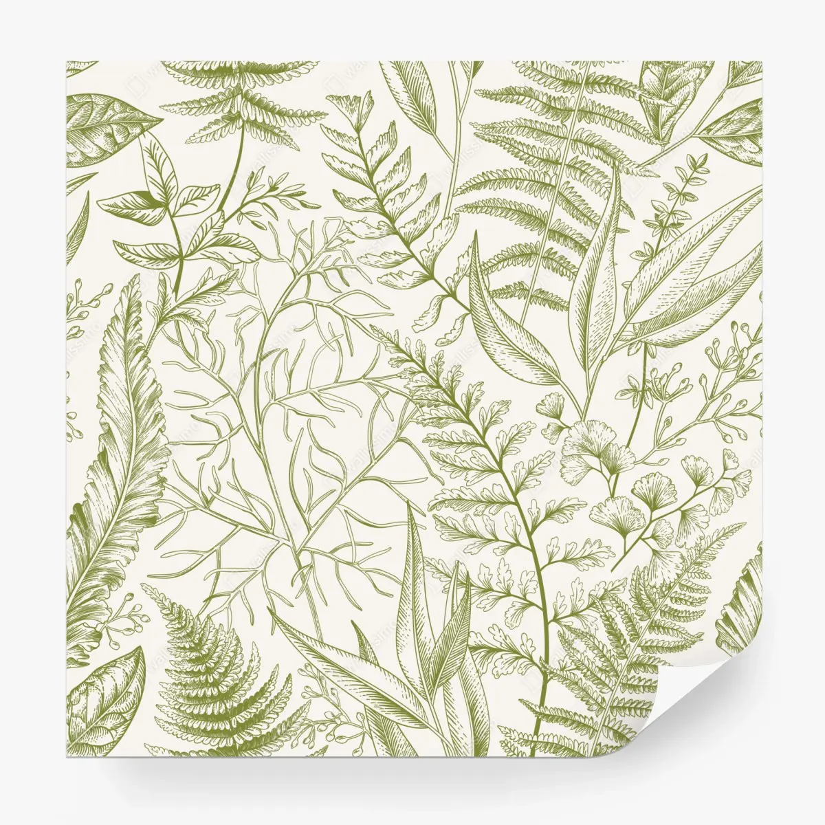 Wall mural hand-drawn green botanical leaves • Wallissimo®