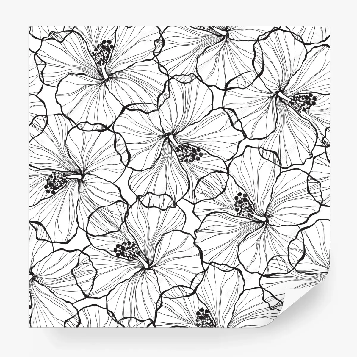 Wall mural black and white hibiscus line art pattern • Wallissimo®