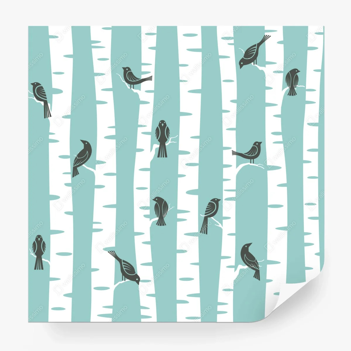 Wall mural turquoise birch forest with birds • Wallissimo® Wall mural turquoise birch forest with birds • Wallissimo®