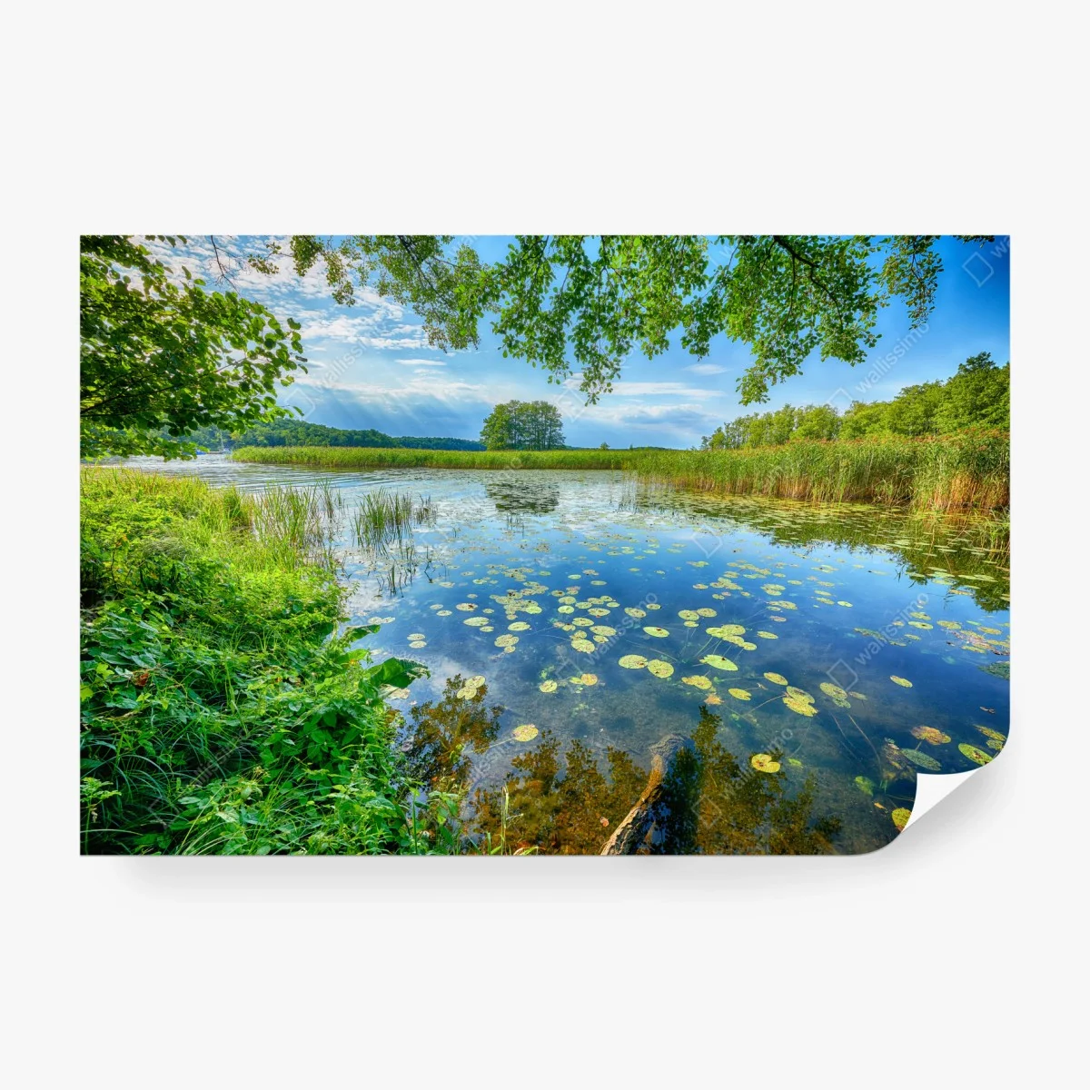 Wall mural summer reflections at Masuria lake ⁕ Wallissimo®