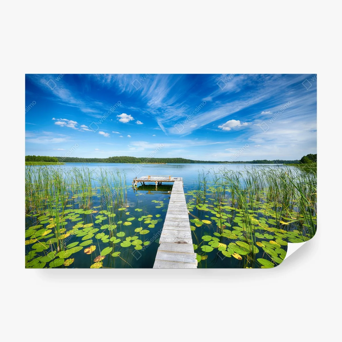 Wall mural Masuria lakeside pier in summer • Wallissimo®
