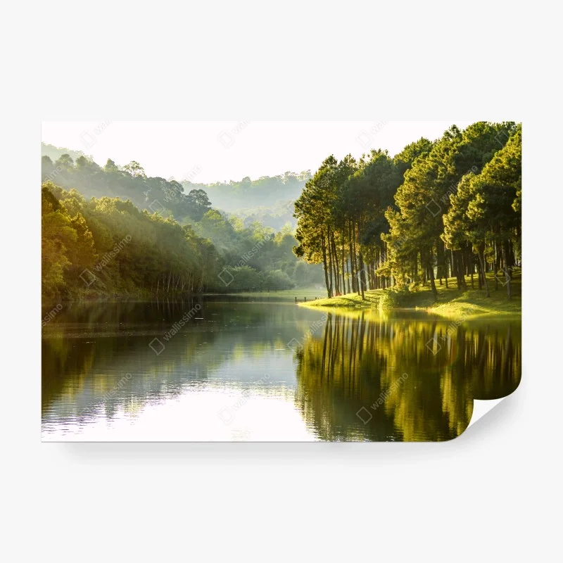 Wall mural • Wallissimo®