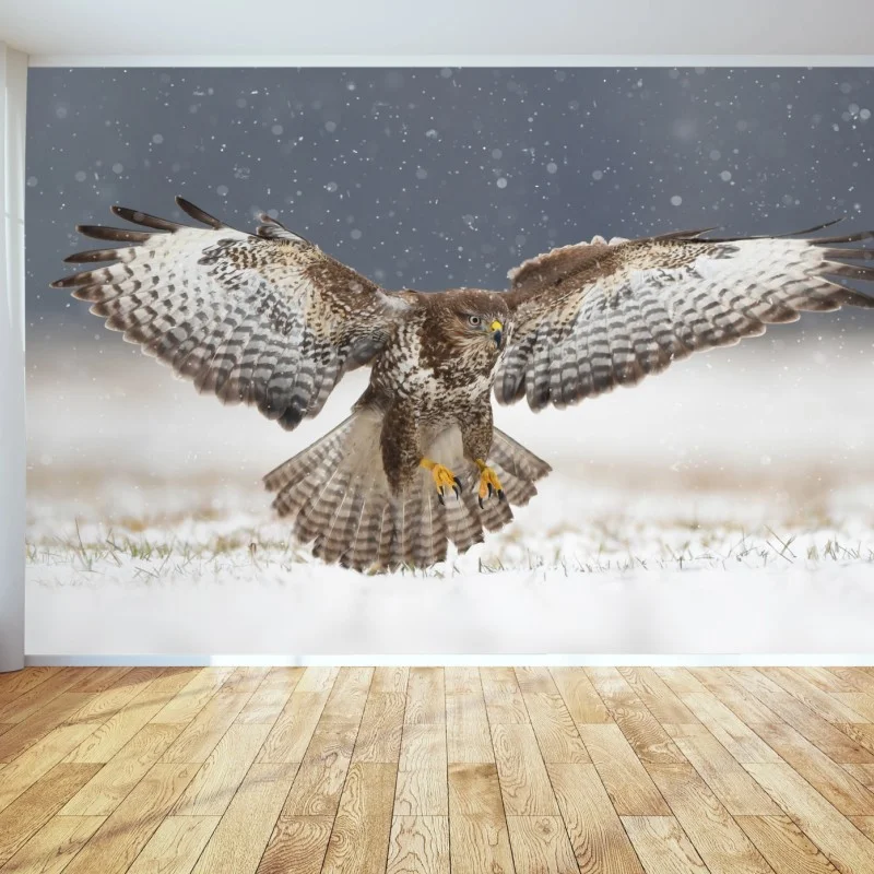 Wall mural common buzzard landing in snow