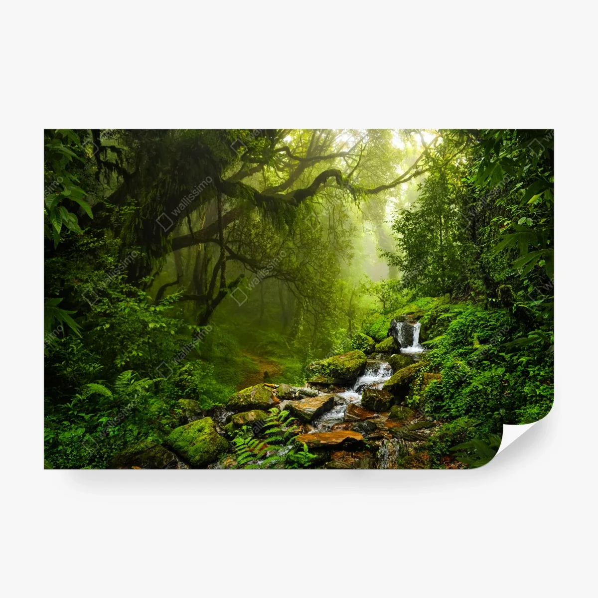 Wall mural lush misty forest waterfall ⁕ Wallissimo®