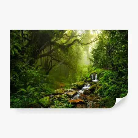 Wall mural lush misty forest waterfall • Wallissimo®