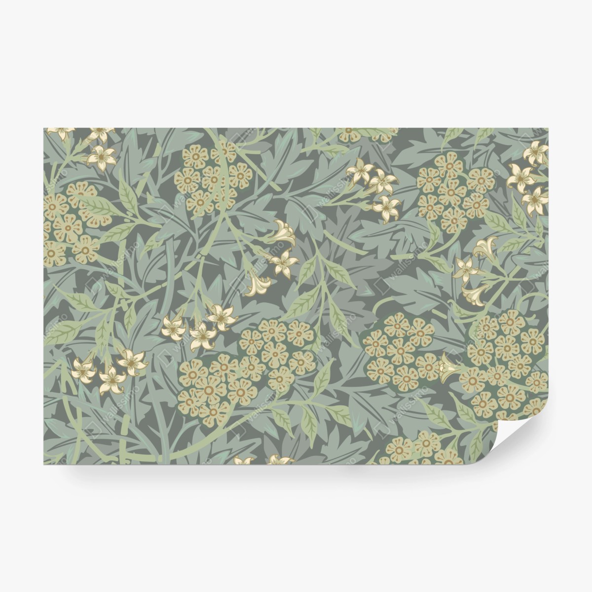 Wall mural vintage botanical floral pattern • Wallissimo®