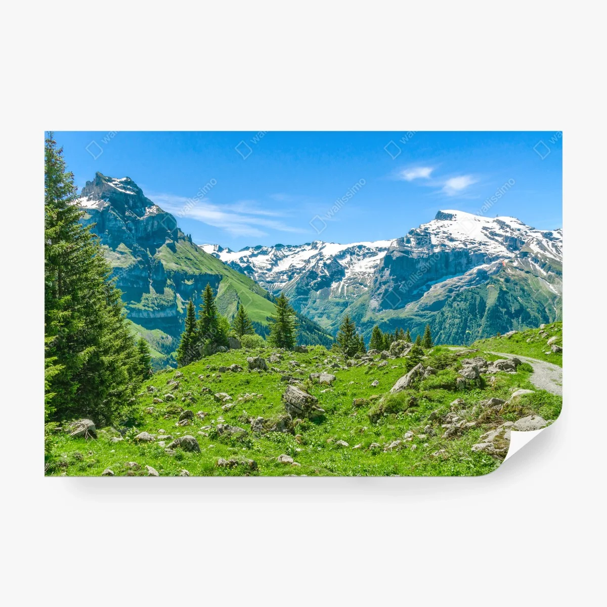 Wall mural sunlit alpine meadow in Engelberg • Wallissimo®