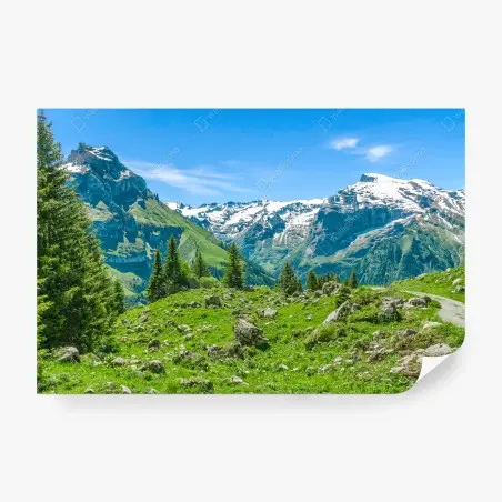Wall mural sunlit alpine meadow in Engelberg • Wallissimo®