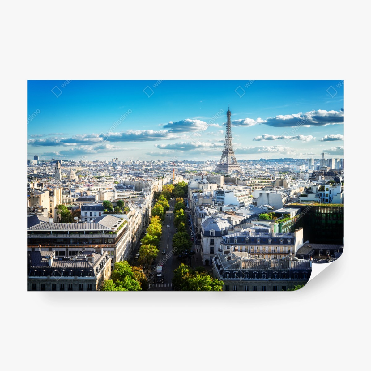 Wall mural Paris skyline with the Eiffel Tower ⁕ Wallissimo®