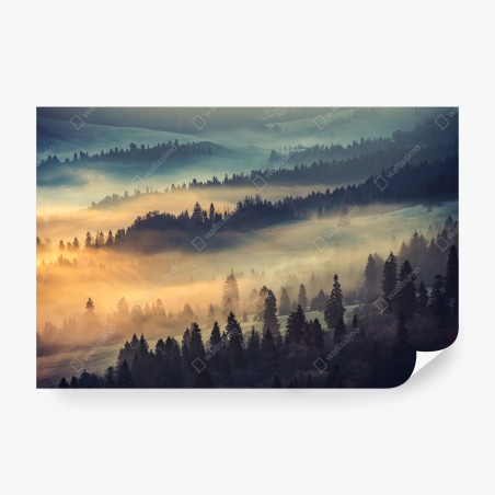 Wall mural misty mountain forest at sunrise • Wallissimo®