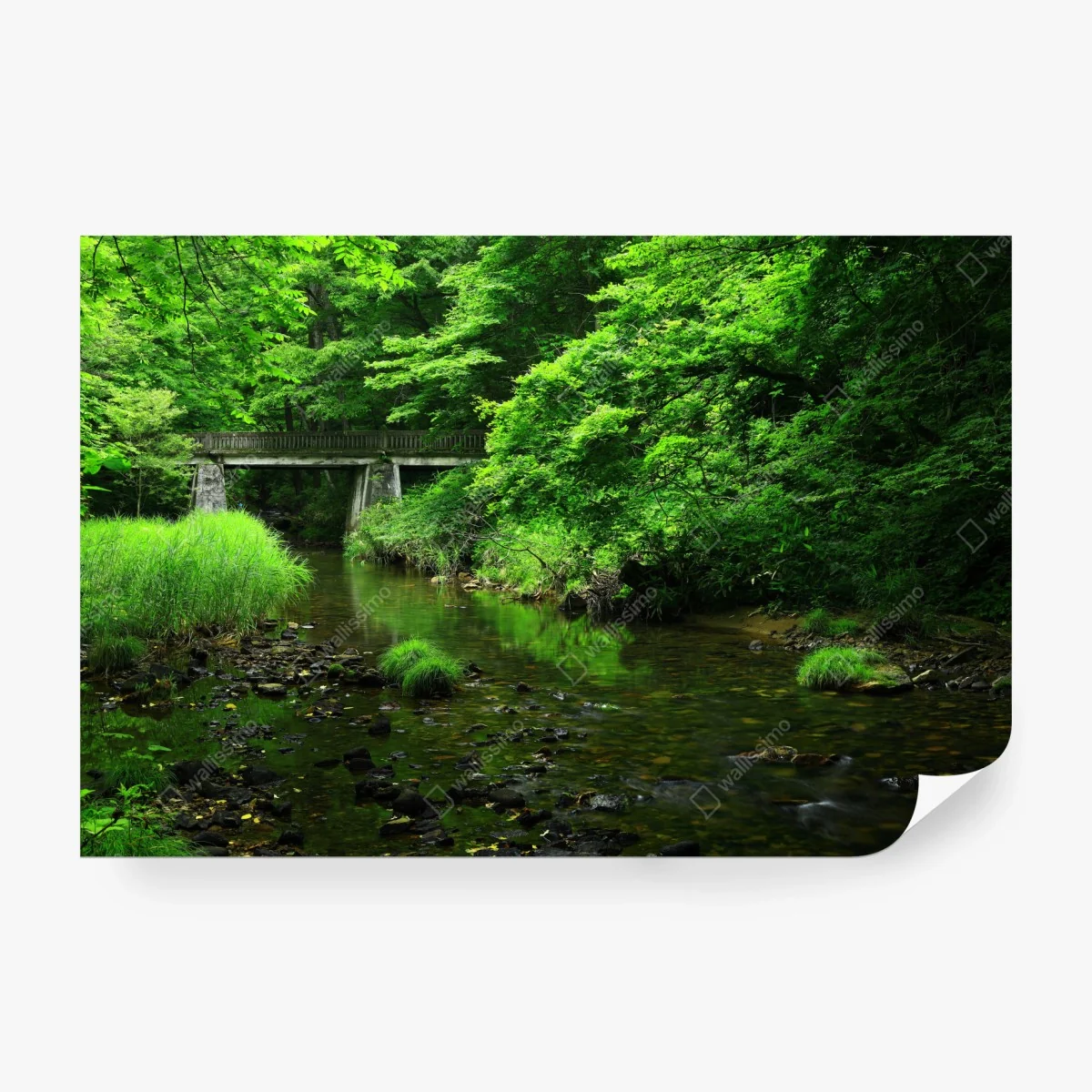 Wall mural lush green forest stream with stone bridge • Wallissimo® Wall mural lush green forest stream with stone bridge • Wallissimo®