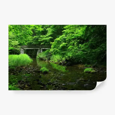 Wall mural lush green forest stream with stone bridge • Wallissimo®