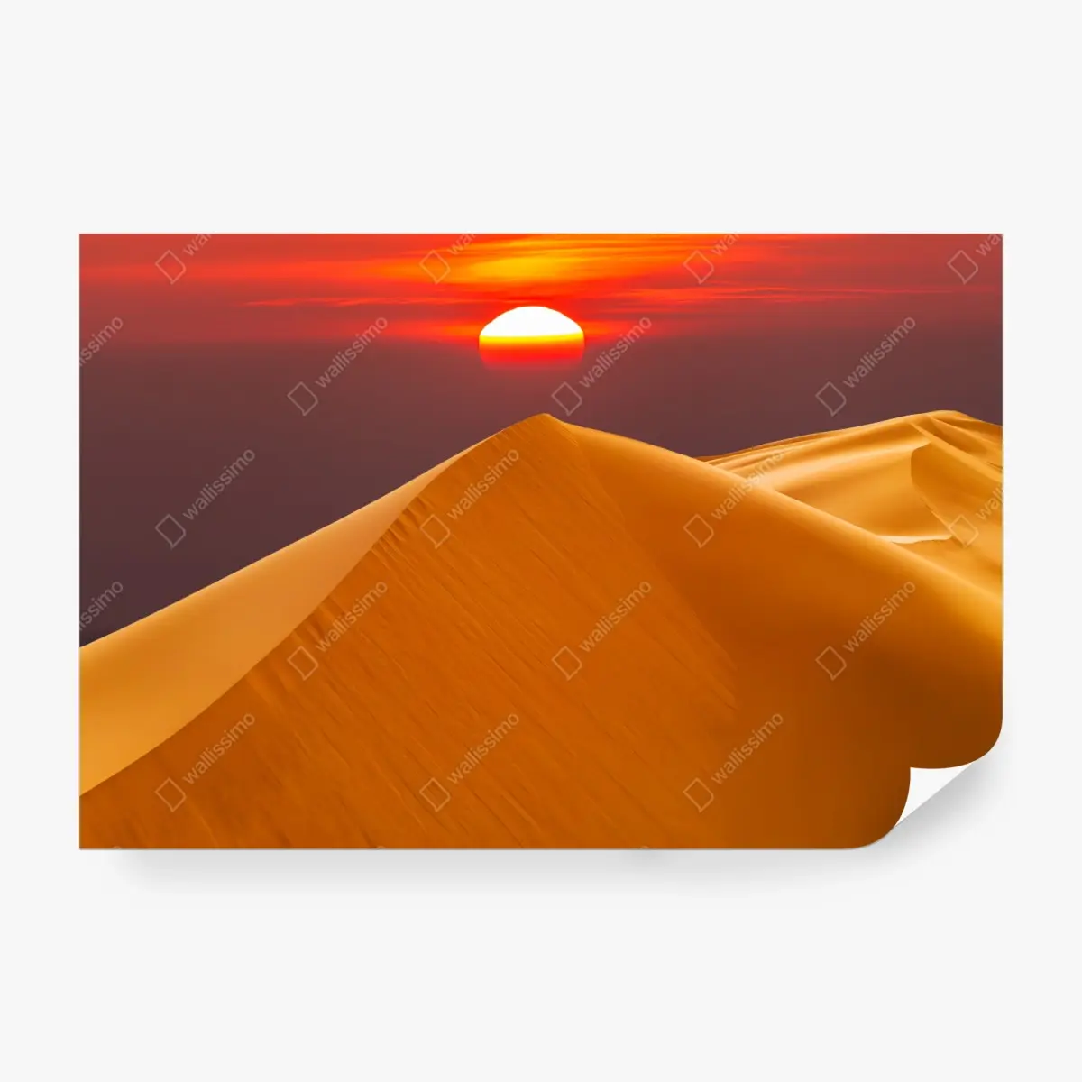 Wall mural golden desert sunset over sand dunes • Wallissimo®