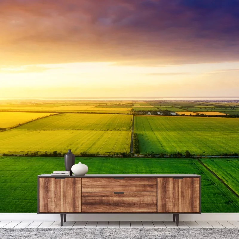 Wall mural golden sunset over green fields