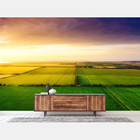 Wall mural golden sunset over green fields • Wallissimo®