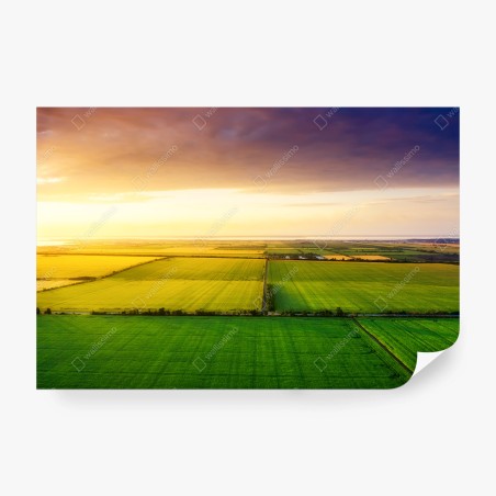 Wall mural golden sunset over green fields • Wallissimo®