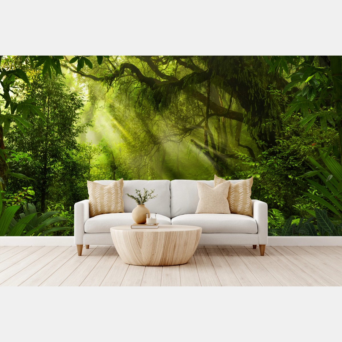 Wall mural sunlit forest pathway • Wallissimo®