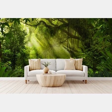Wall mural sunlit forest pathway • Wallissimo®