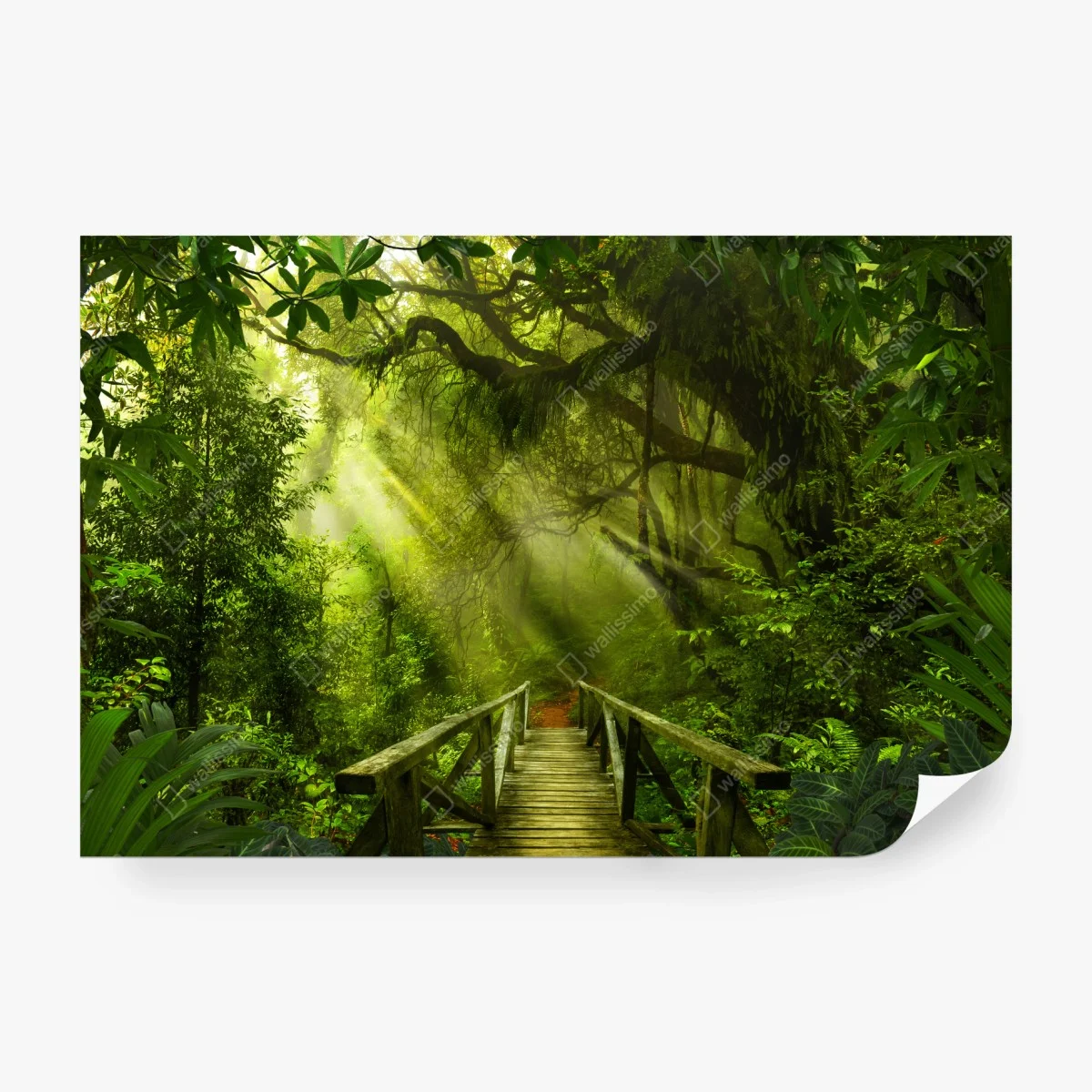 Wall mural sunlit forest pathway ⁕ Wallissimo® Wall mural sunlit forest pathway ⁕ Wallissimo®