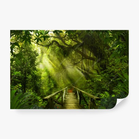 Wall mural sunlit forest pathway • Wallissimo®