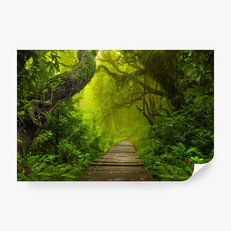 Wall mural mystical green forest path