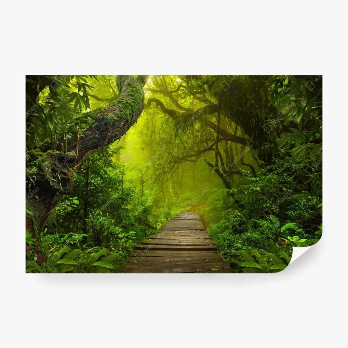 Wall mural mystical green forest path ⁕ Wallissimo®