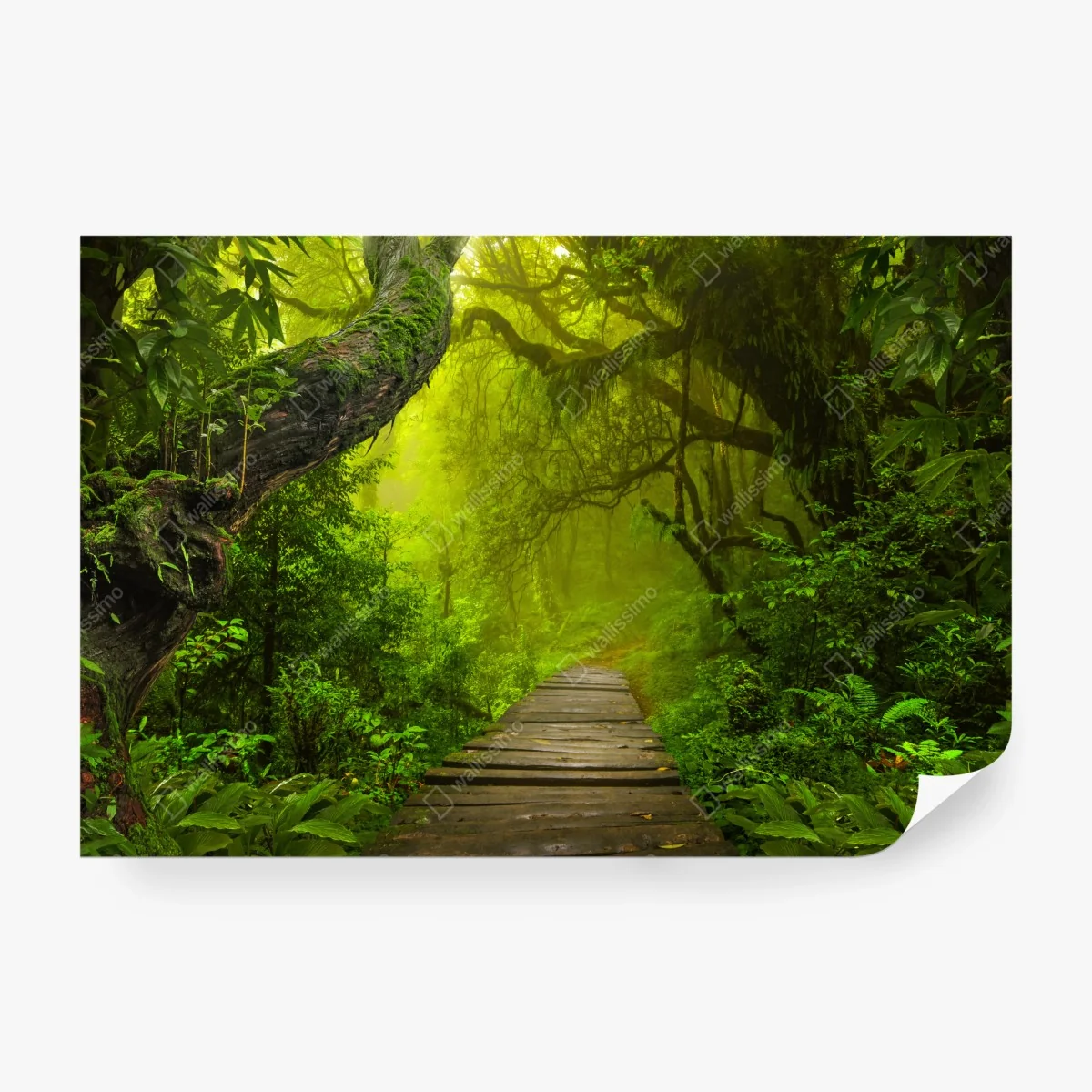 Wall mural mystical green forest path • Wallissimo® Wall mural mystical green forest path • Wallissimo®