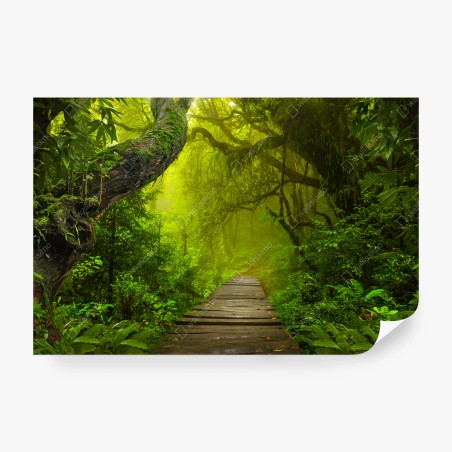 Wall mural mystical green forest path • Wallissimo®