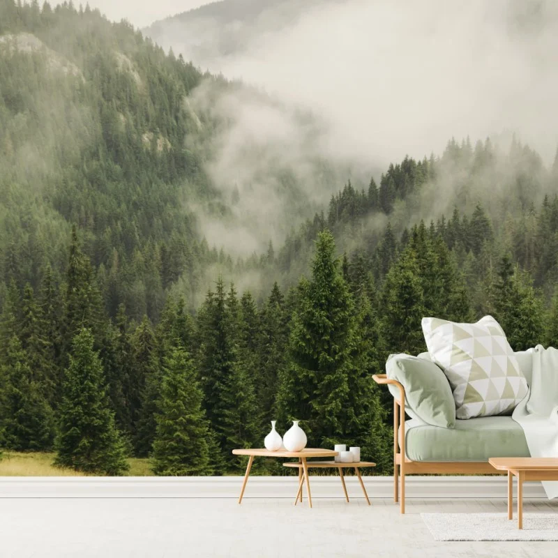 Wall mural misty evergreen forest landscape