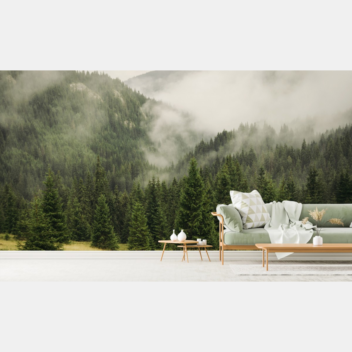 Wall mural misty evergreen forest landscape • Wallissimo®