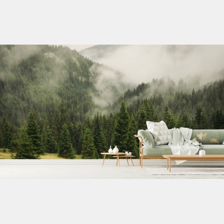 Wall mural misty evergreen forest landscape • Wallissimo®