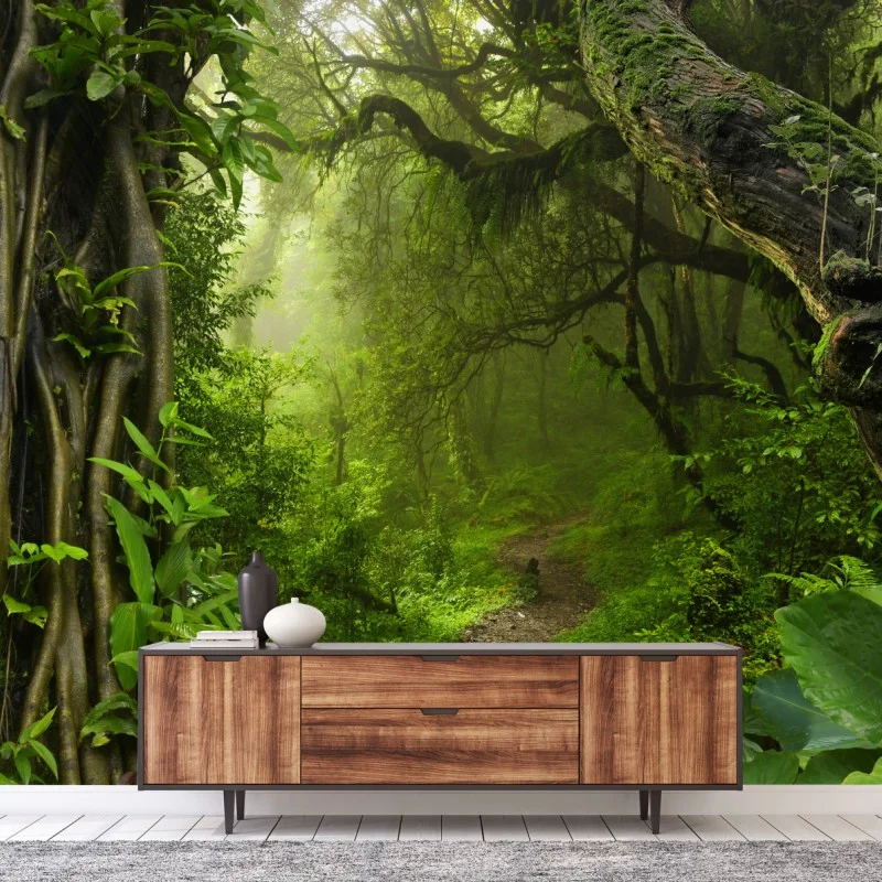 Wall mural lush misty forest trail