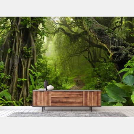 Wall mural lush misty forest trail • Wallissimo®
