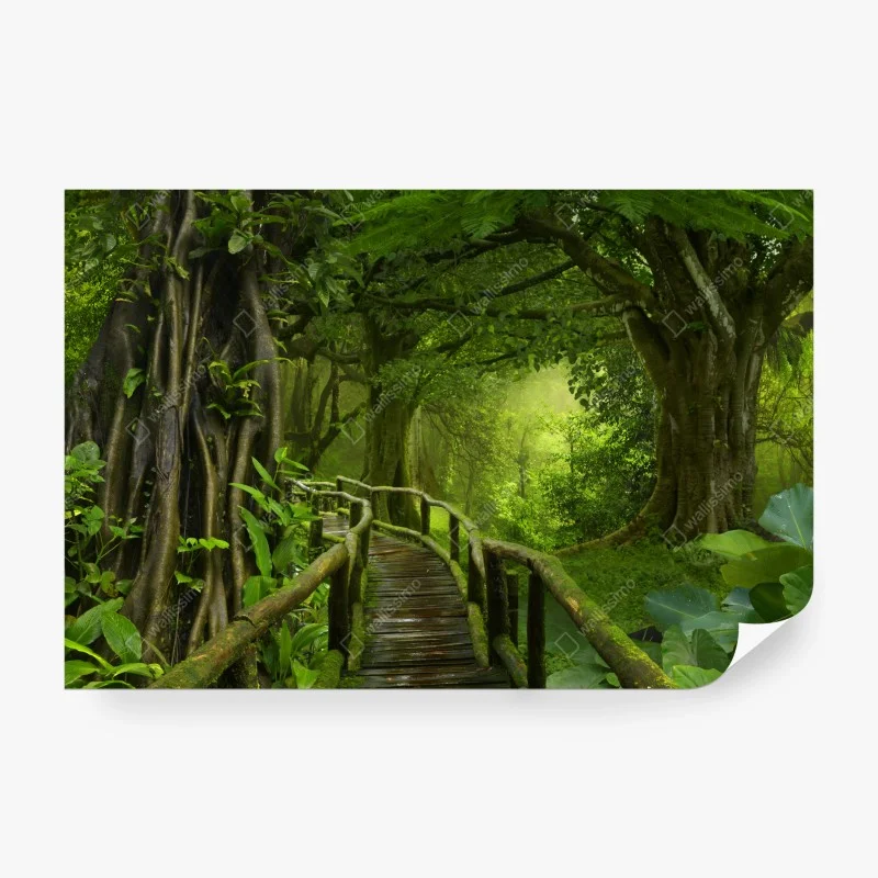 Wall mural misty tropical jungle boardwalk