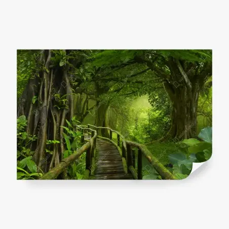 Wall mural misty tropical jungle boardwalk • Wallissimo®