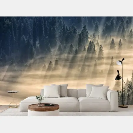 Wall mural misty spruce forest with sun rays • Wallissimo®