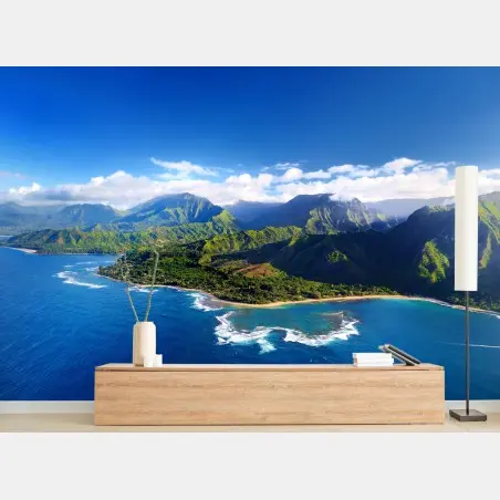 Wall mural aerial tropical coastline panorama • Wallissimo®