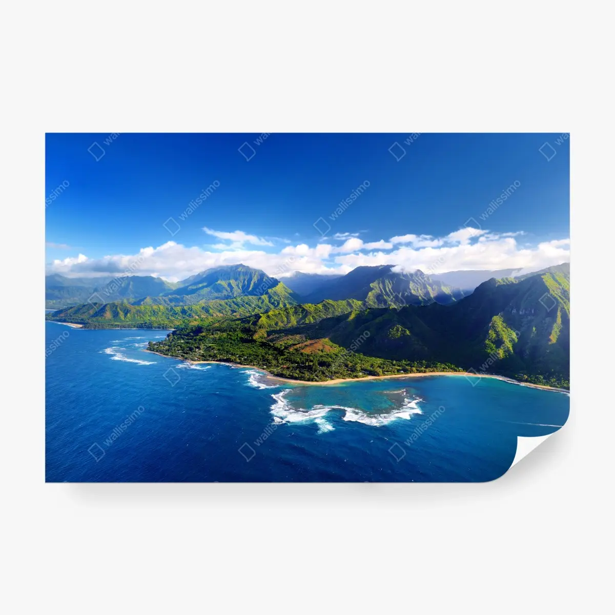 Wall mural aerial tropical coastline panorama • Wallissimo®