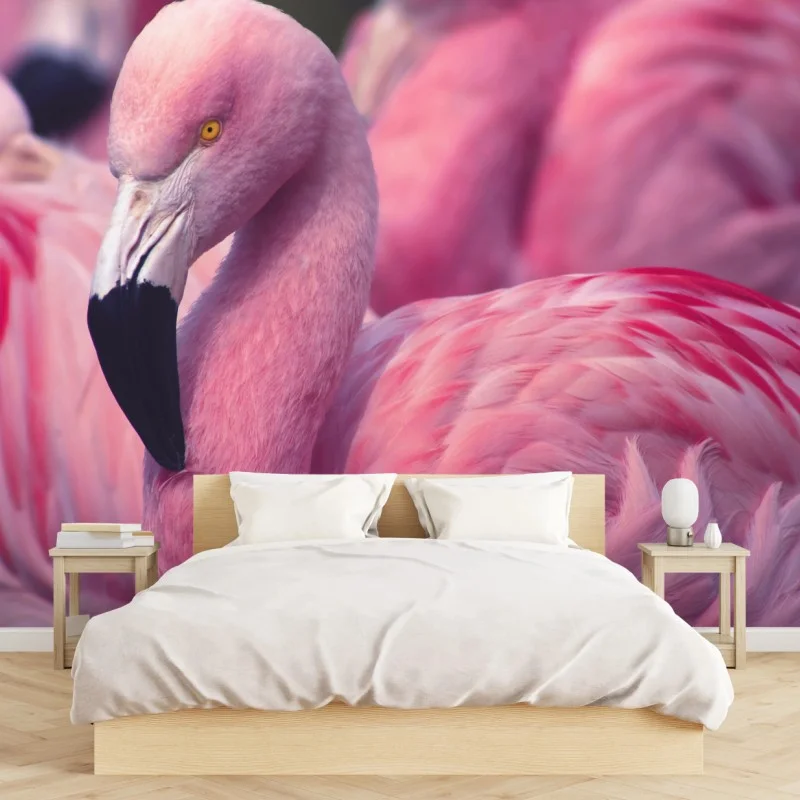 Wall mural pink flamingo close-up portrait