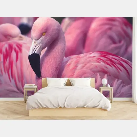 Wall mural pink flamingo close-up portrait • Wallissimo®