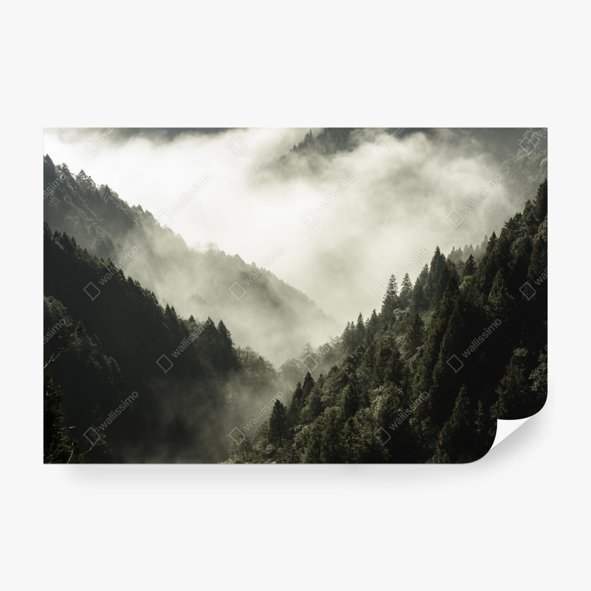 Wall mural misty mountain valley ⁕ Wallissimo®