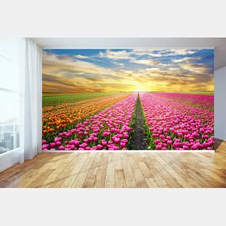 Wall mural sunrise over tulip fields in Netherlands • Wallissimo®