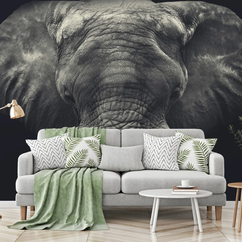 Wall mural majestic elephant portrait in monochrome